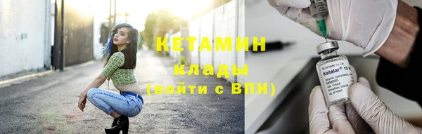 крисы Аркадак