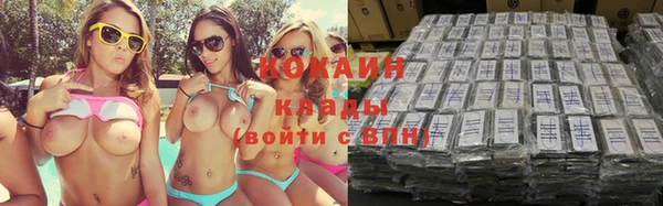 крисы Аркадак