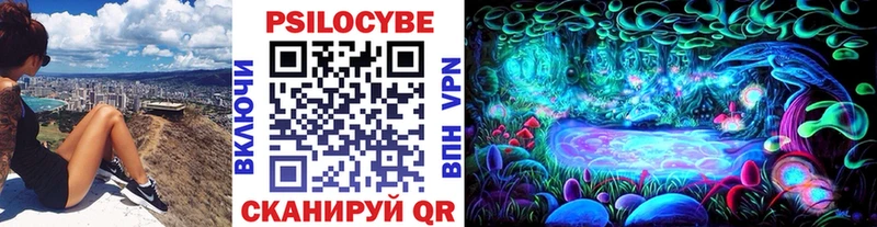 как найти наркотики  Ленинск-Кузнецкий  Псилоцибиновые грибы Magic Shrooms 